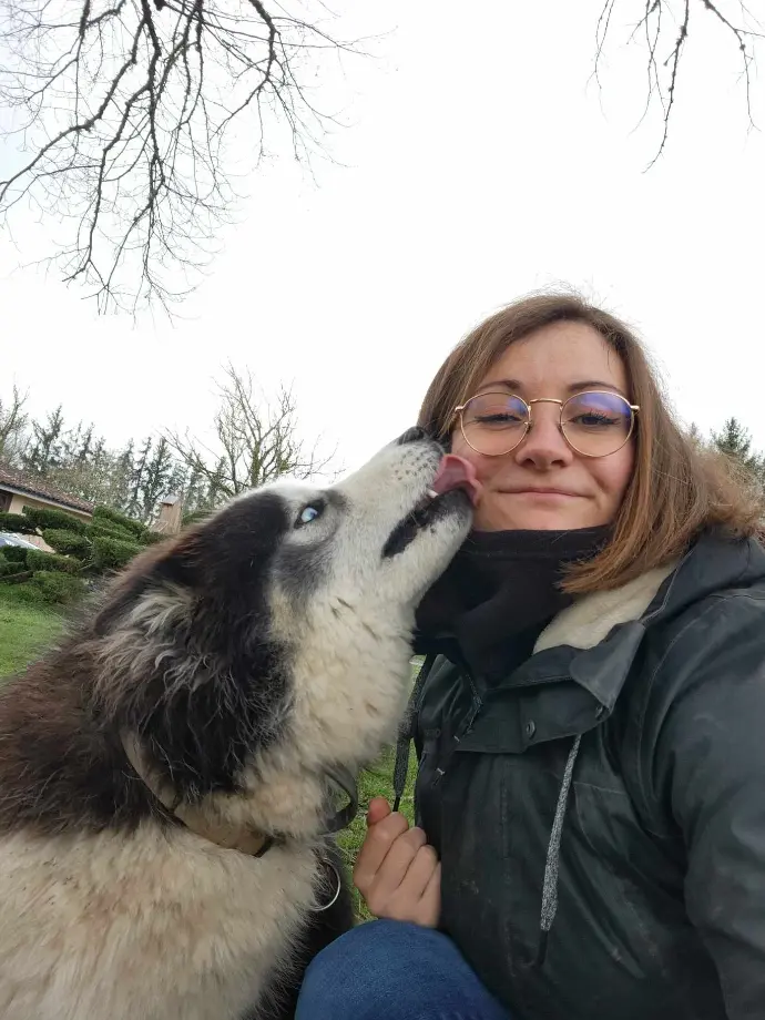 toilettage-chien-dordogne.jpg salon-toilettage-24.jpg toilettage-chien-dordogne.jpg salon-toilettage-24.jpg